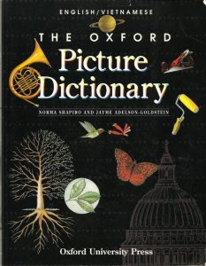 Rich Results on Google's SERP when searching for'Grammar and Vocabulary for'PICTURE OXFORD DICTIONARY'