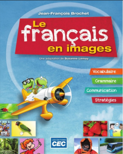 Rich Results on Google's SERP when searching For'Le français en images'